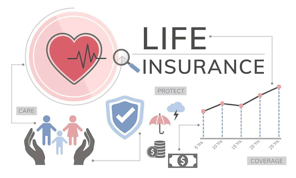 Fredericton life insurance